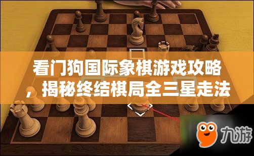 看门狗国际象棋游戏攻略，揭秘终结棋局全三星走法技巧详解