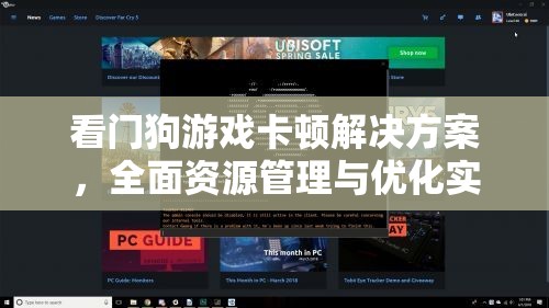 看门狗游戏卡顿解决方案，全面资源管理与优化实战指南