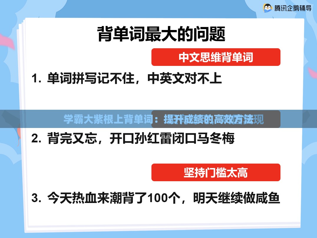 学霸大紫根上背单词：提升成绩的高效方法