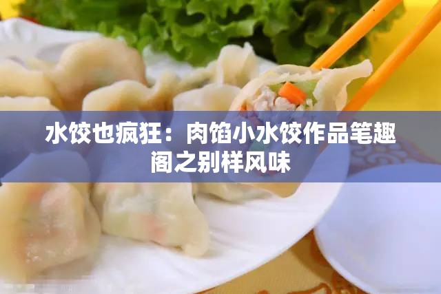 水饺也疯狂：肉馅小水饺作品笔趣阁之别样风味