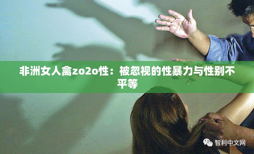 非洲女人禽zo2o性：被忽视的性暴力与性别不平等