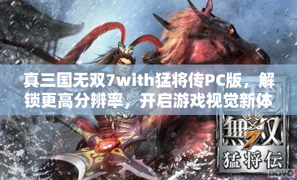 真三国无双7with猛将传PC版，解锁更高分辨率，开启游戏视觉新体验与视界