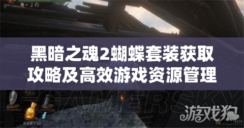 黑暗之魂2蝴蝶套装获取攻略及高效游戏资源管理技巧