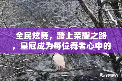 全民炫舞，踏上荣耀之路，皇冠成为每位舞者心中的璀璨明珠