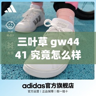 三叶草 gw4441 究竟怎么样呢