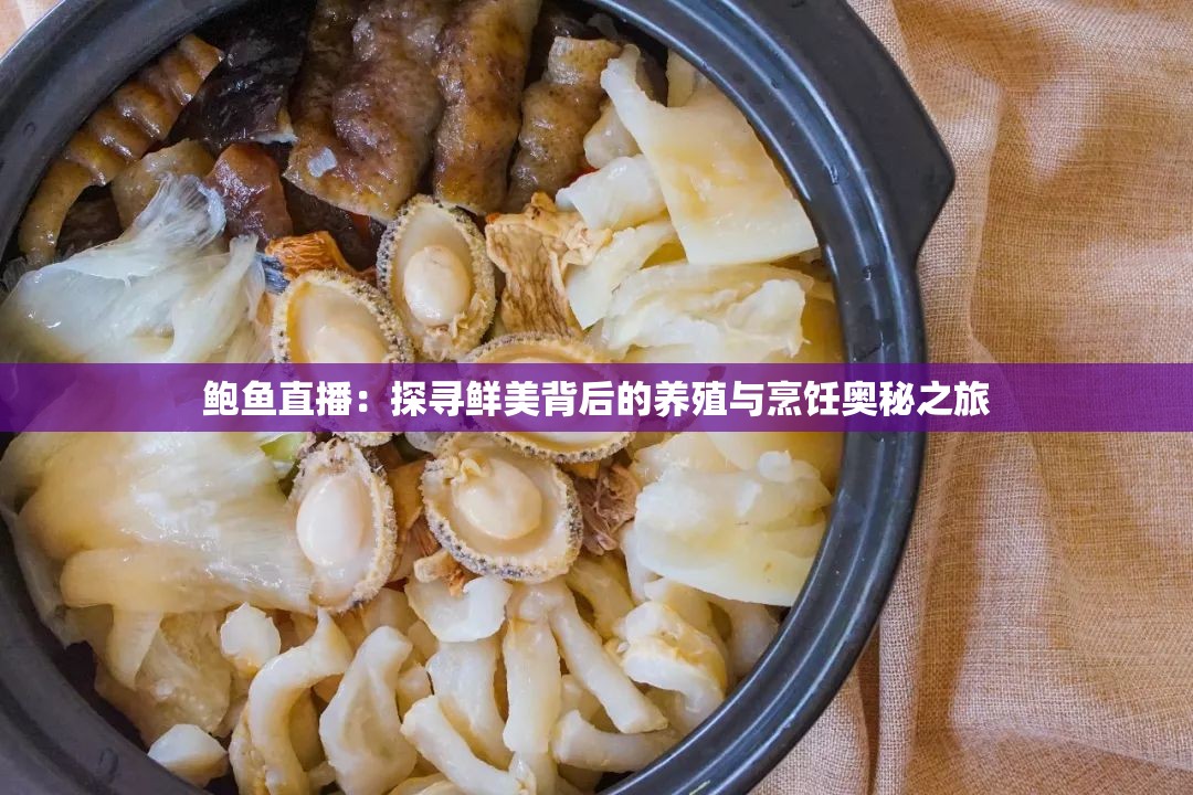 鲍鱼直播：探寻鲜美背后的养殖与烹饪奥秘之旅