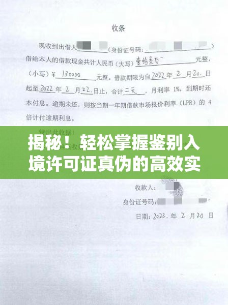 揭秘！轻松掌握鉴别入境许可证真伪的高效实用绝招技巧