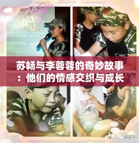 苏畅与李蓉蓉的奇妙故事：他们的情感交织与成长历程