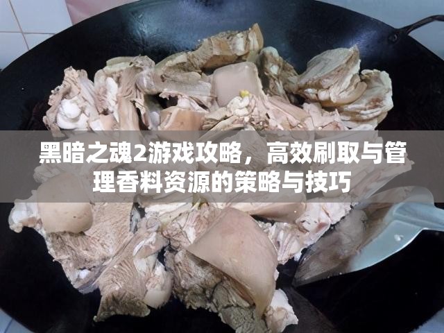 黑暗之魂2游戏攻略，高效刷取与管理香料资源的策略与技巧