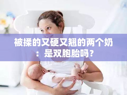 被揉的又硬又翘的两个奶：是双胞胎吗？