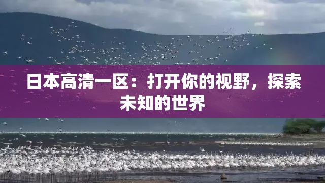 日本高清一区：打开你的视野，探索未知的世界