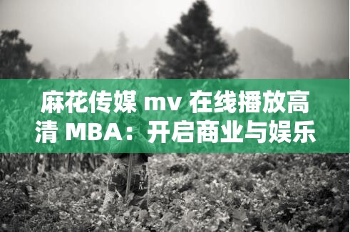 麻花传媒 mv 在线播放高清 MBA：开启商业与娱乐的独特之旅