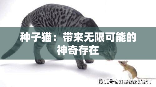 种子猫：带来无限可能的神奇存在