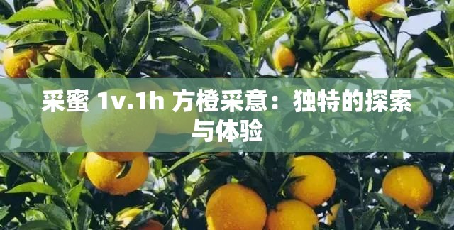 采蜜 1v.1h 方橙采意：独特的探索与体验