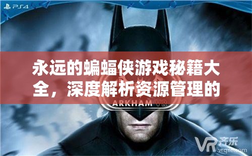 永远的蝙蝠侠游戏秘籍大全，深度解析资源管理的艺术与策略