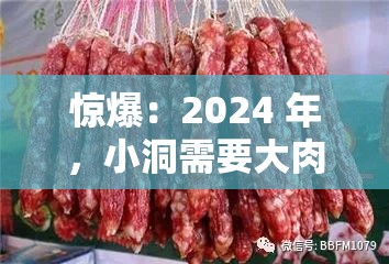 惊爆：2024 年，小洞需要大肉肠