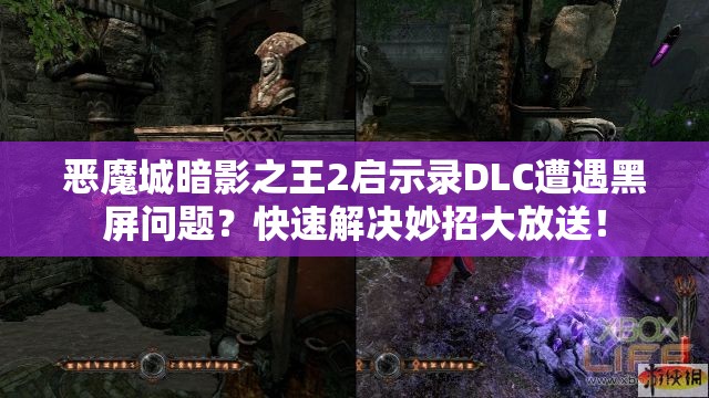 恶魔城暗影之王2启示录DLC遭遇黑屏问题？快速解决妙招大放送！