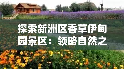 探索新洲区香草伊甸园景区：领略自然之美与浪漫风情