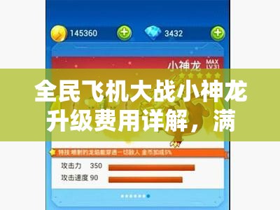 全民飞机大战小神龙升级费用详解，满级花费与资源管理策略指南