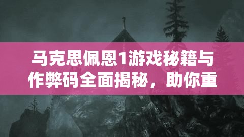 马克思佩恩1游戏秘籍与作弊码全面揭秘，助你重温经典游戏，畅享无尽游戏快感