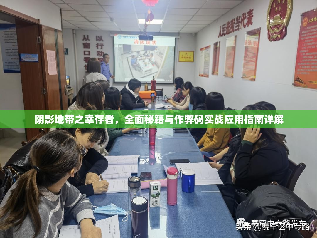 阴影地带之幸存者，全面秘籍与作弊码实战应用指南详解