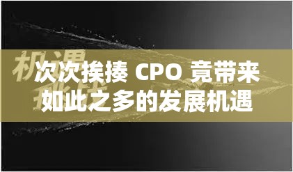 次次挨揍 CPO 竟带来如此之多的发展机遇：值得深思与挖掘