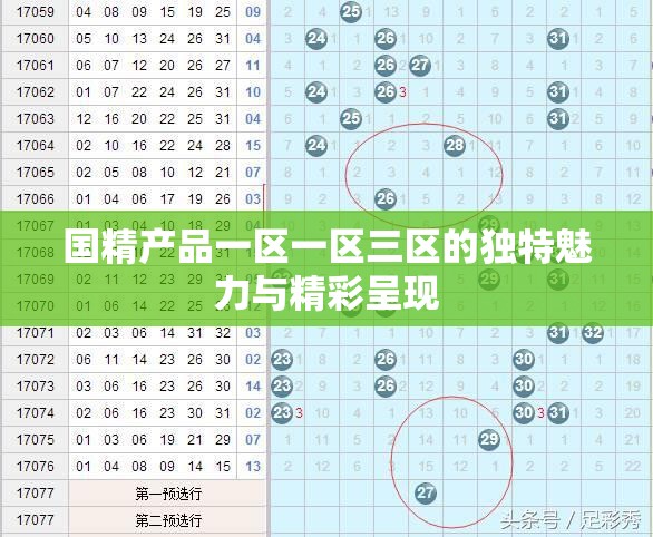 国精产品一区一区三区的独特魅力与精彩呈现