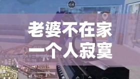 老婆不在家一个人寂寞 CSGO：孤独游戏者的夜晚奋战时光