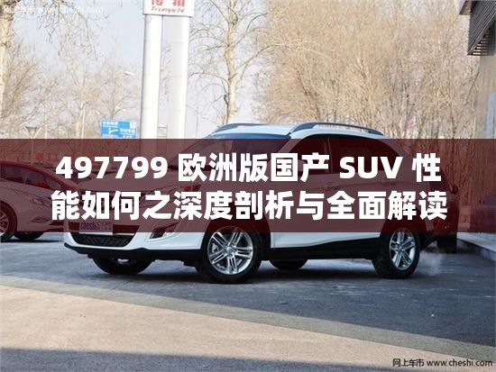 497799 欧洲版国产 SUV 性能如何之深度剖析与全面解读