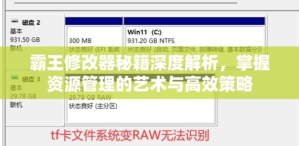 霸王修改器秘籍深度解析，掌握资源管理的艺术与高效策略