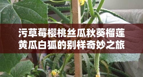 污草莓樱桃丝瓜秋葵榴莲黄瓜白狐的别样奇妙之旅