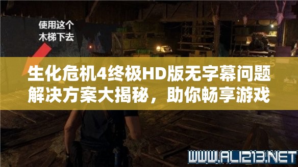 生化危机4终极HD版无字幕问题解决方案大揭秘，助你畅享游戏无障碍！