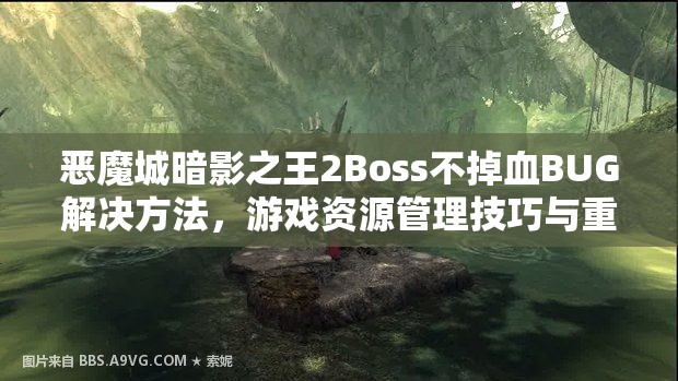 恶魔城暗影之王2Boss不掉血BUG解决方法，游戏资源管理技巧与重要性探讨