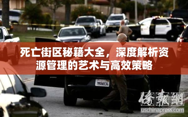 死亡街区秘籍大全，深度解析资源管理的艺术与高效策略