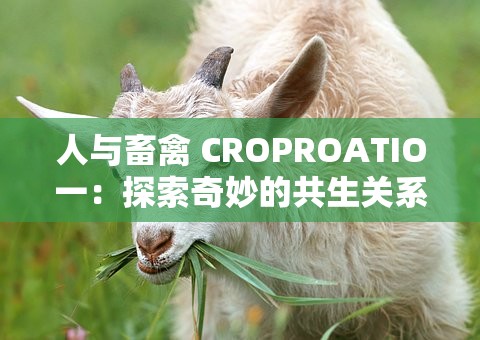 人与畜禽 CROPROATIO一：探索奇妙的共生关系