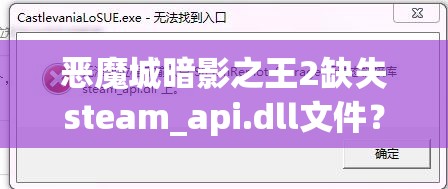 恶魔城暗影之王2缺失steam_api.dll文件？快速解决指南来了！