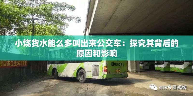 小烧货水能么多叫出来公交车：探究其背后的原因和影响