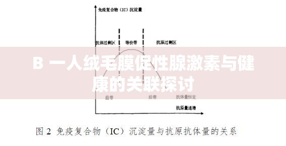 B 一人绒毛膜促性腺激素与健康的关联探讨