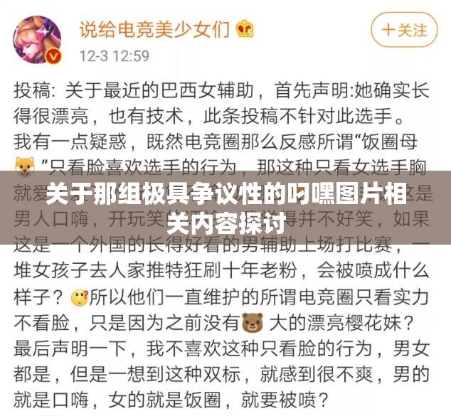 关于那组极具争议性的叼嘿图片相关内容探讨