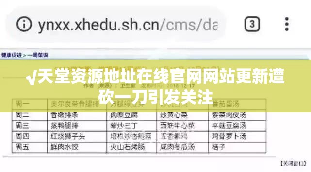 √天堂资源地址在线官网网站更新遭砍一刀引发关注