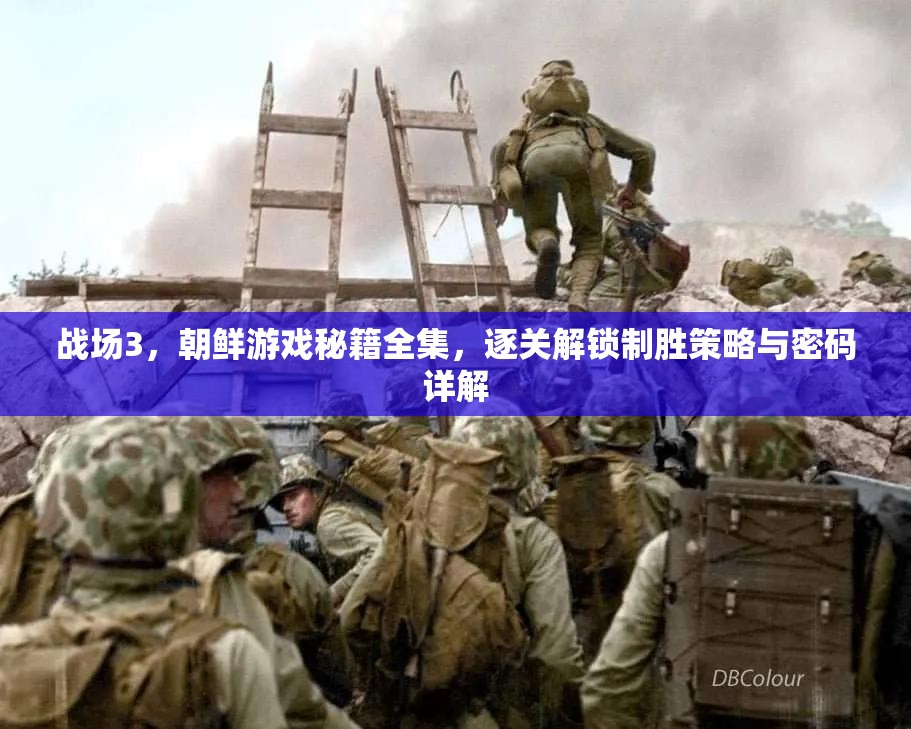 战场3，朝鲜游戏秘籍全集，逐关解锁制胜策略与密码详解