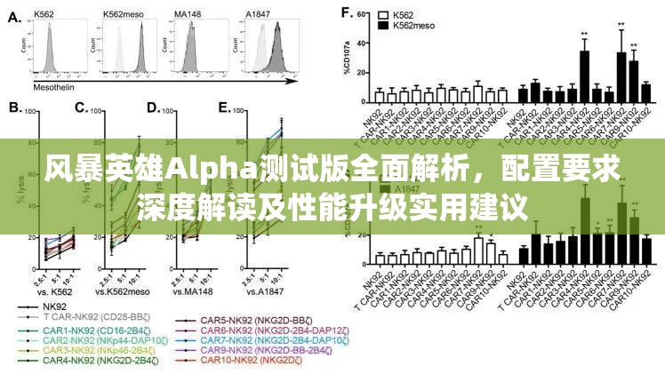 风暴英雄Alpha测试版全面解析，配置要求深度解读及性能升级实用建议