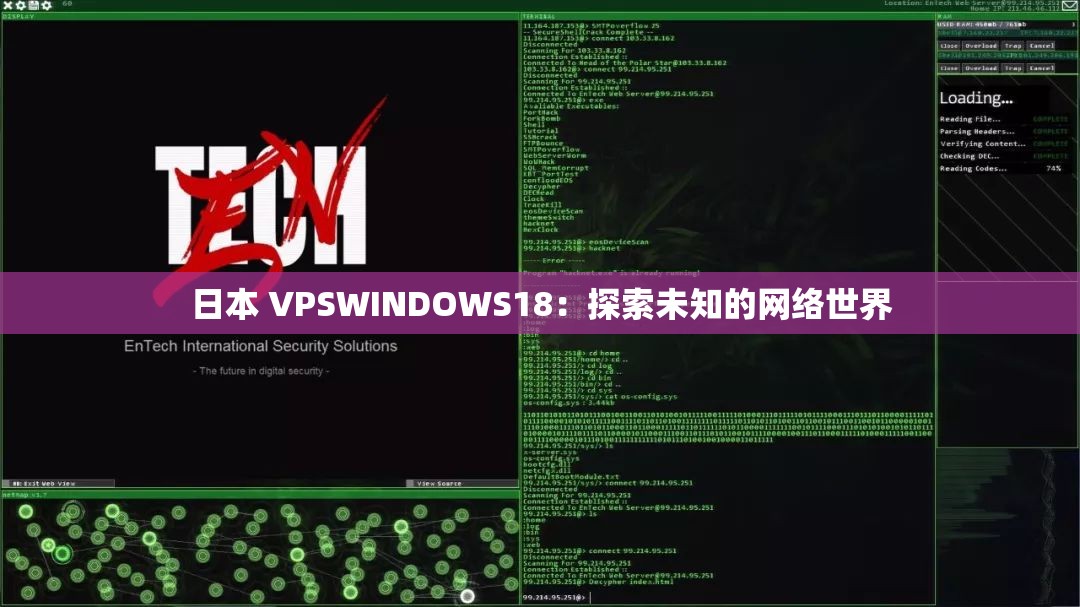 日本 VPSWINDOWS18：探索未知的网络世界