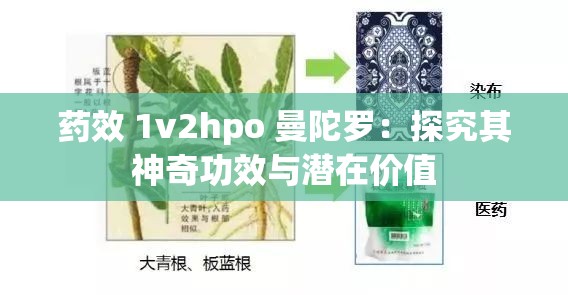 药效 1v2hpo 曼陀罗：探究其神奇功效与潜在价值