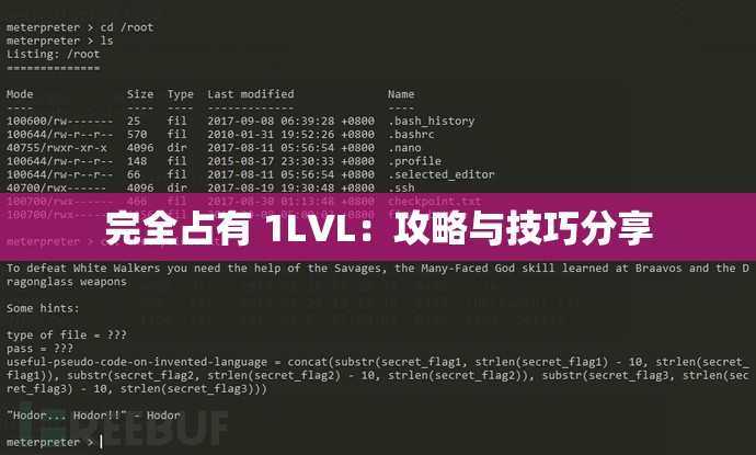 完全占有 1LVL：攻略与技巧分享