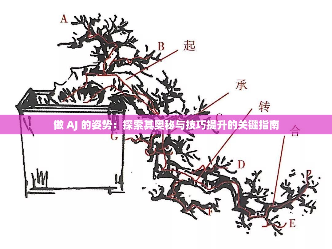 做 AJ 的姿势：探索其奥秘与技巧提升的关键指南