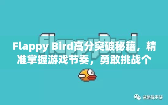 Flappy Bird高分突破秘籍，精准掌握游戏节奏，勇敢挑战个人极限记录