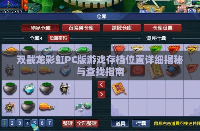 双截龙彩虹PC版游戏存档位置详细揭秘与查找指南