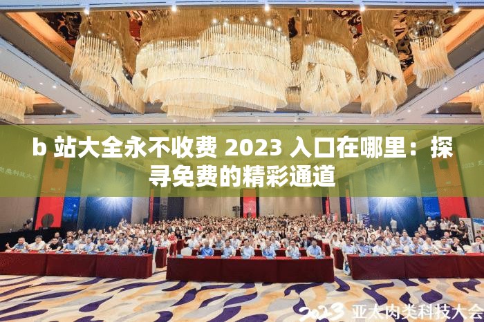 b 站大全永不收费 2023 入口在哪里：探寻免费的精彩通道