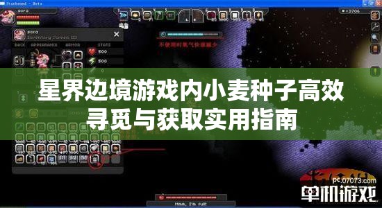 星界边境游戏内小麦种子高效寻觅与获取实用指南